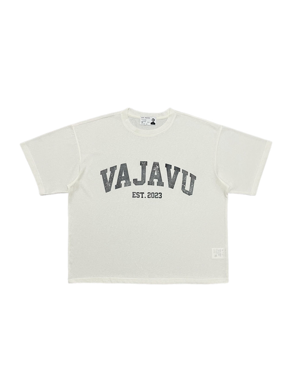 Faded Varsity Logo Tee